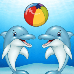 Dolphin Show 